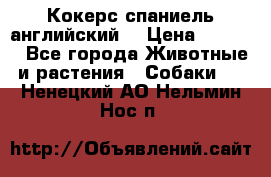 Кокерс спаниель английский  › Цена ­ 4 500 - Все города Животные и растения » Собаки   . Ненецкий АО,Нельмин Нос п.